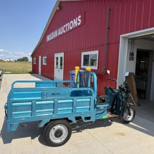 2025 Unused Electric Tricycle Iret15 Blue