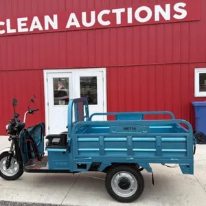 2025 Unused Electric Tricycle Iret15 Blue