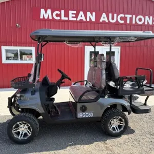 2025 Unused Gray Golf Cart Irgc80 Roof Damage