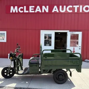 2026 Unused Electric Tricycle Et13 Green