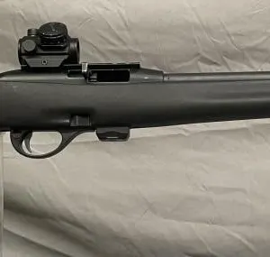 Remington Model 597 AAC-SD .22 cal. L