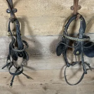 Fine Harness Bridles