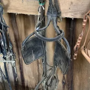 Horse Bridle