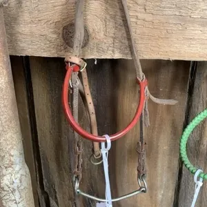 Pony Show Halter