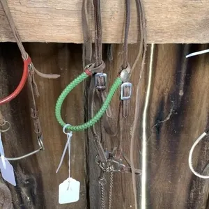 Colt Show Halter