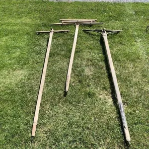 3-Double Poles