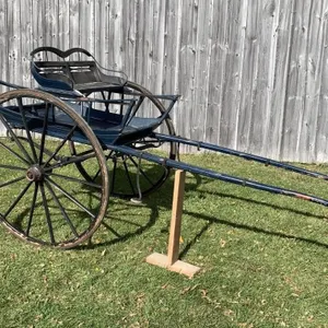 Quebec Cart to Drive Tandem w Extra Seat