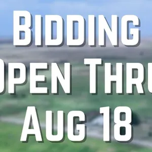 Auction Open Thru Aug. 18th