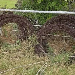 Barbed Wire Fencing