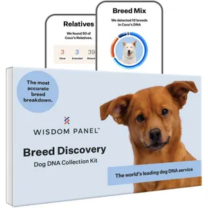 Wisdom Health Breed Discovery Dog DNA Test Kit
