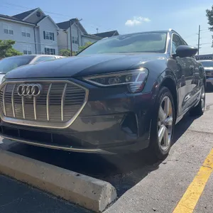 Bankruptcy Auction of a 2019 Audi Etron EV