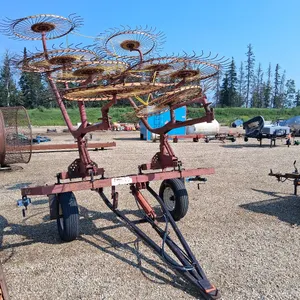 Alteen 10 Wheel Hay Rake