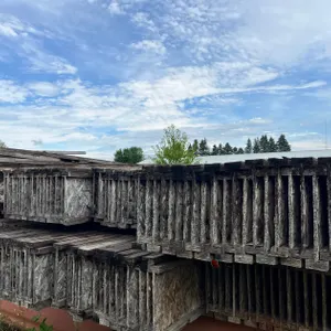 (100) Assorted Lengths of I-Joists