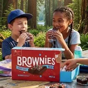 Vachon Mega Brownies Candy 963g Box