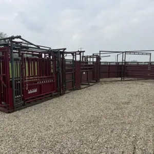 Stampede Steel Adjustable Alleyway