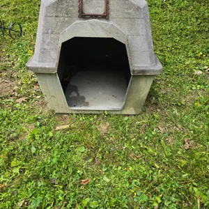 Medium / Large Dog Box