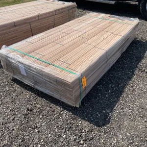 Lot 6061