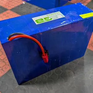 BAILIFF SEIZED: LARGE LITHIUM ION BATTERY