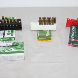 52 Rnds. Remington & Fiocchi .223 Rem. Ammo