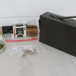Metal Ammo Box & .25 Auto, .22LR, .380 & BB's Ammo