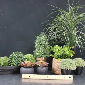 Artificial Plants