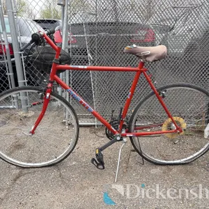ARETTE BICYCLE W/ HELMET