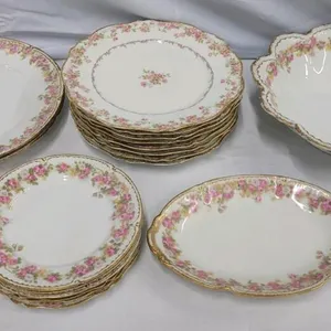 Antique Charles Field Haviland Limoges Porcelain Dinnerware Set, Schleiger 1073A Pattern