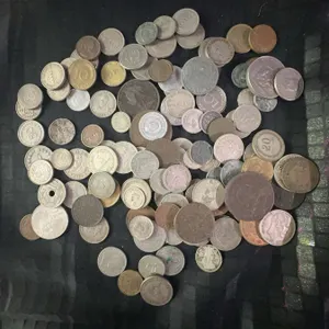 The Numismatic Collection In House
