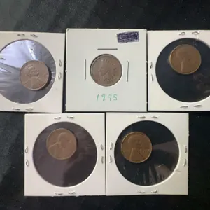 5 US One Cent Coins: 1895, 1935, 1951, 1954 (x2)
