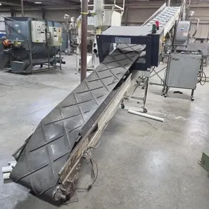 Conveyor With Pass Thru Metal Detector