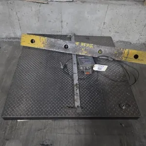 Platform Scale With DRO