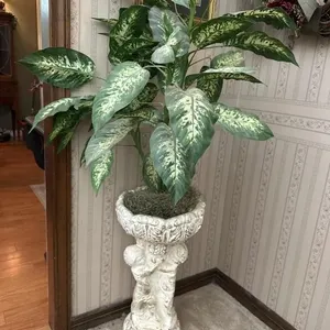 White/gold plantar with leafy plant (plantar