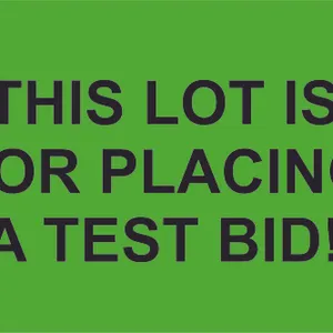 Test Bidding Here