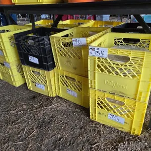 (8) Crates of Ceramic Serving Bowls
 UNRESERVED
