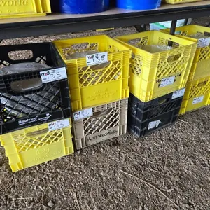 (8) Crates Ceramic Serving Bowls and Plates
 UNRESERVED