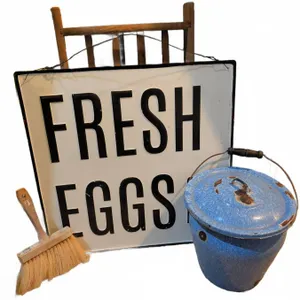 Lot: Fresh Eggs Sign, Brush, Blue Bucket, Lamp Base, Rack