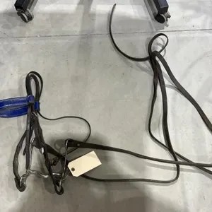 Halter w/Bit & Reins