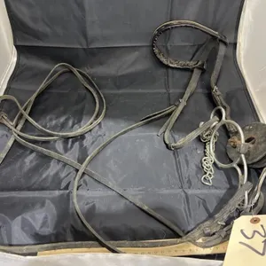 Halter w/Bit & Reins