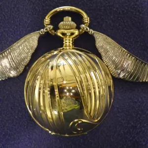 Accutime Watch Corp HP3016HT Harry Potter pocket Watch