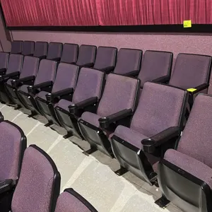 Floor-mounted movie theater seating row. Features cloth cushioned foldable seats with purple fabric upholstery. Equipped with black armrests featuring