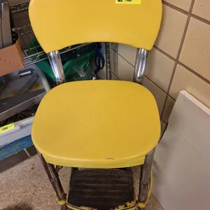 Vintage Costco Metal Step Stool