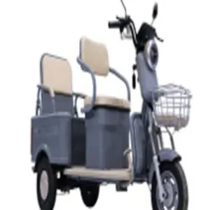 2026 Sdlanch ELECTRIC TRICYCLE MGC40