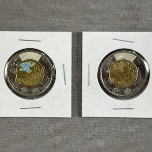 Pair of 100th Ann. Insulin Toonies
