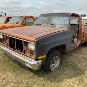 1981 Custom Deluxe 10 Square Body Truck - Oscar Samson Estate Dispersal *Unreserved*
