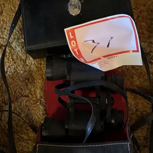 Pair of binoculars