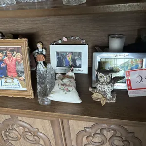 Owls & picture frames