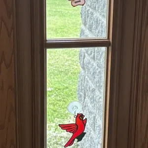 8 - window decorations