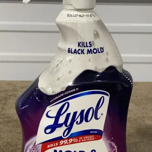 **NEW** Lysol Mold & Mildew Remover with Bleach - 32 fl oz