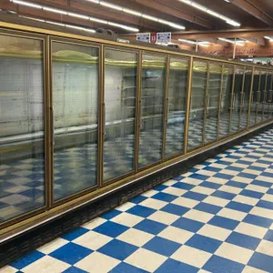 Master-Bilt CEL-5 frozen food glass doors. Features gold-tone frames, adjustable wire shelving, and interior lighting. Electrical: 230V, 60 Hz, 1-Phas