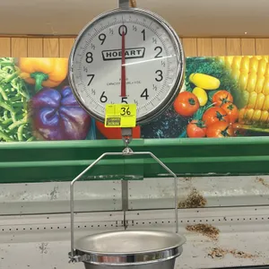Hobart PR309 double-faced hanging produce scale. Features a 10 lb capacity dial with 1 oz. graduations visible on both sides. Includes a stainless ste